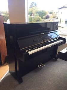 Yamaha U1 Upright - Fully Reconditioned-5 Year Guarantee