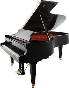 Schimmel I 212 International Flügel - schwarz hochglanz - Renner Mechanik - NEU!