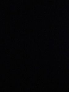 Randy Rhoads Usa Charvel Jackson 1984?