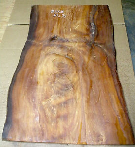 Ancient Kauri! #1028 Great table top slab!