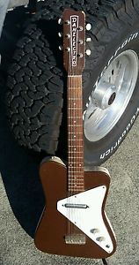 1967 danelectro guitar