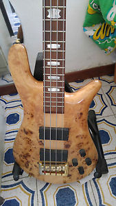 spector bass euro4 poplar burl