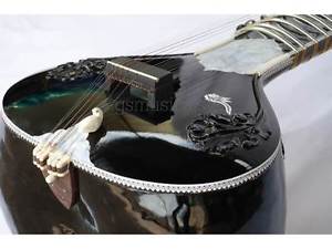 SITAR USTAD SHAHID PARVEZ STYLE WITH FIBERGLASS CASE GSM009 CA