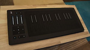 ROLI Seaboard RISE 25