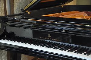 Steinway B 2013  Sweet & Dark,  