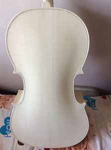 White Cello 4/4 nice flamed maple back side spruce top with ebony fingerboard