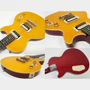 NEW Epiphone Slash AFD Les Paul Special-II Guitar(Appetite A) FROM JAPAN/512