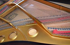 YOUNG CHANG Flügel Stutzflügel Grand Piano Pianofort Klavier Salonflügel Steinwa