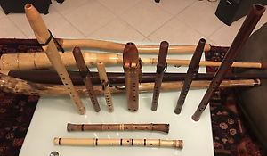 didjeridu( Australian Instruments) And American Indian Flute