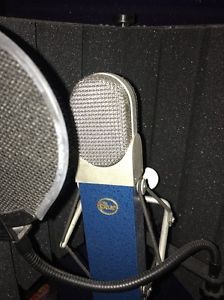 Blue Blueberry Cardioid Condenser Microphone