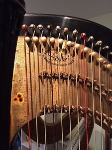 Used 1992 Salvi Diana Harp