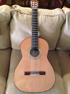 Tomas Delgado Brazilian Rosewood Classical Guitar Candelas $12,000 worth!