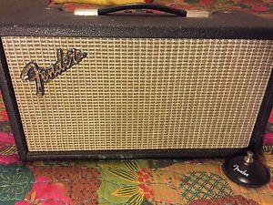 Fender Silverface Reverb Unit Tank 1976