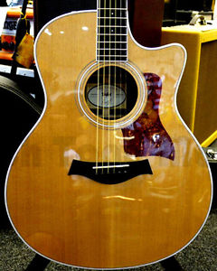 Zager EZ-Play Modified Taylor 416CE Acoustic Electric Guitar