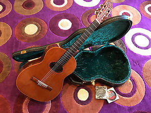 Beautiful Di Giorgio Tarrega Brazilian Classical Guitar 1988 Acoustic Digiorgio