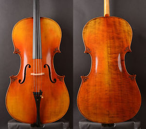 Special Offer！Advanced model Cello Alessandro​ Gagliano ​1704 Copy!