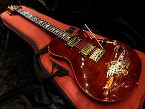 Paul Reed Smith(PRS) SE Mike(Mikael)Akerfeldt Tortoise Shell/456