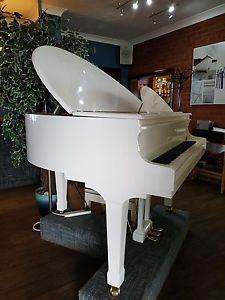 Baby Grand Piano Self Play and manual