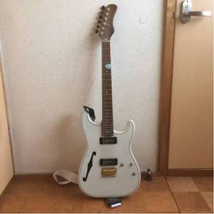 DEVISER Rosetta Hand Made Semi Acoustic Type White E-Guitar Free Shipping
