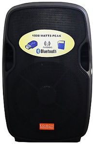 Edison Professional EN-1500 EU Bluetooth Wireless Speaker