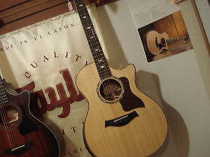 Taylor 814ce DLX Acoustic Guitar with Case Free Shipping