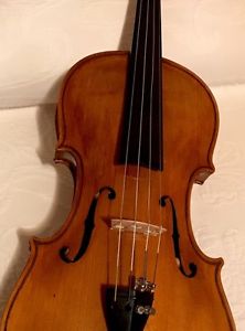 VIOLINO GIOVANNI PISTUCCI (1864-1955) Napoli Liutai Del 900 Arte