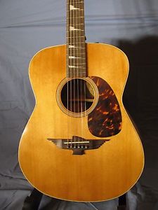 Musical Forrest Custom Acoustic Guitar