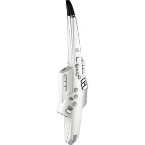 Roland AE-10 Aerophone Wind Synthesizer Digital Wind Brand NEW from JAPAN