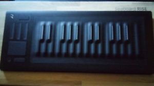 seaboard rise 25