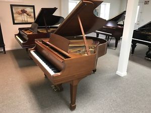 1979 Steinway "M" Grand Piano in Walnut - BEAUTIFUL