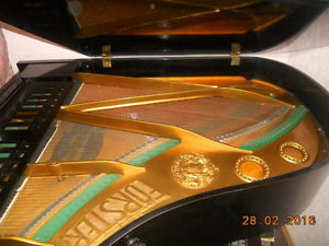 Sehr seltener August Förster Konzertflügel,Salonflügel,Grand Piano,Rarität !!!