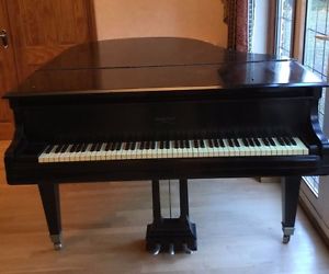 George Steck, New York Baby Grand Piano - Reconditioned