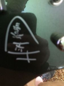 LTD electric guitar