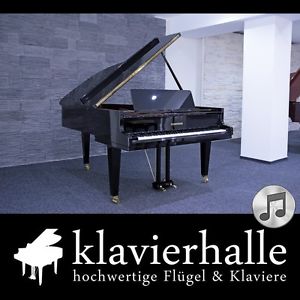 Grotrian-Steinweg Flügel, 189cm (Cabinet), schwarz poliert ★ Bj.1977, Erstbesitz