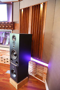 Adam S5X-V  Paar *Top Zustand*