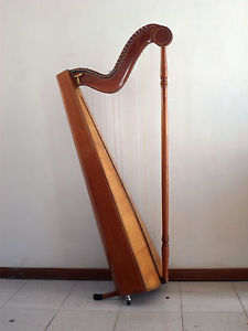 ARPA 37 CORDE CELTICA ANNI 50 ... 37 CELTIC HARP STRINGS 50 years