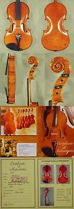 HAND Varnished 16.5" Maestro VASILE GLIGA 'One Piece Back' Viola