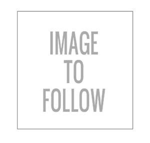 Gibson Les Paul Classic With Gibson Hard Case