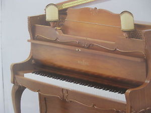 SCHIMMEL Klavier  von  REHA-PIANO-AURICH