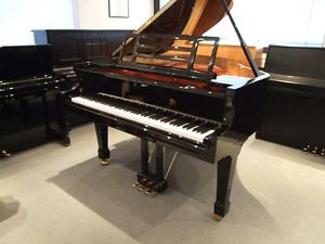 FEURICH Flügel, 161-Professional, NEU, 5 Jahre Garantie