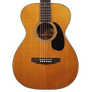 Vintage 1971 Guild F-20 Parlor Guitar Natural