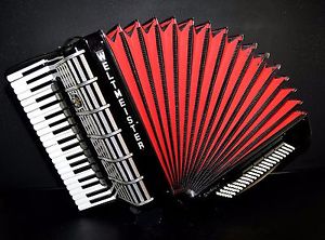 TOP PRO CASSOTTO ACCORDION WELTMEISTER CANTUS V -120 bass,18 sw.~MADE IN GERMANY