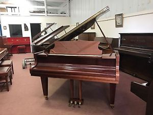 Schimmel Baby Grand. High Gloss Walnut Finish.