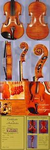 European HANDmade Maestro Level 15" GLIGA VASILE VIOLA from ViolinsLover