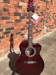 Paul Reed Smith SE Angelus A10E Acoustic Guitar w/Case Tortoise Shell FREE GIFT