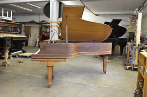 Steinway & Sons Flügel Modell B 211cm