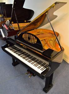 Ibach Model F 1 Double Cross strung Grand Piano