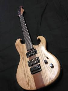 Baize Anthony Guitars BA-01 Handmade Electric Guitar *Commission*