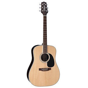 Takamine EF360GF N World Standard series Electric Acoustic Guitar Limited japan