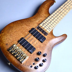 Str Guitars Electric Bass Lsa549